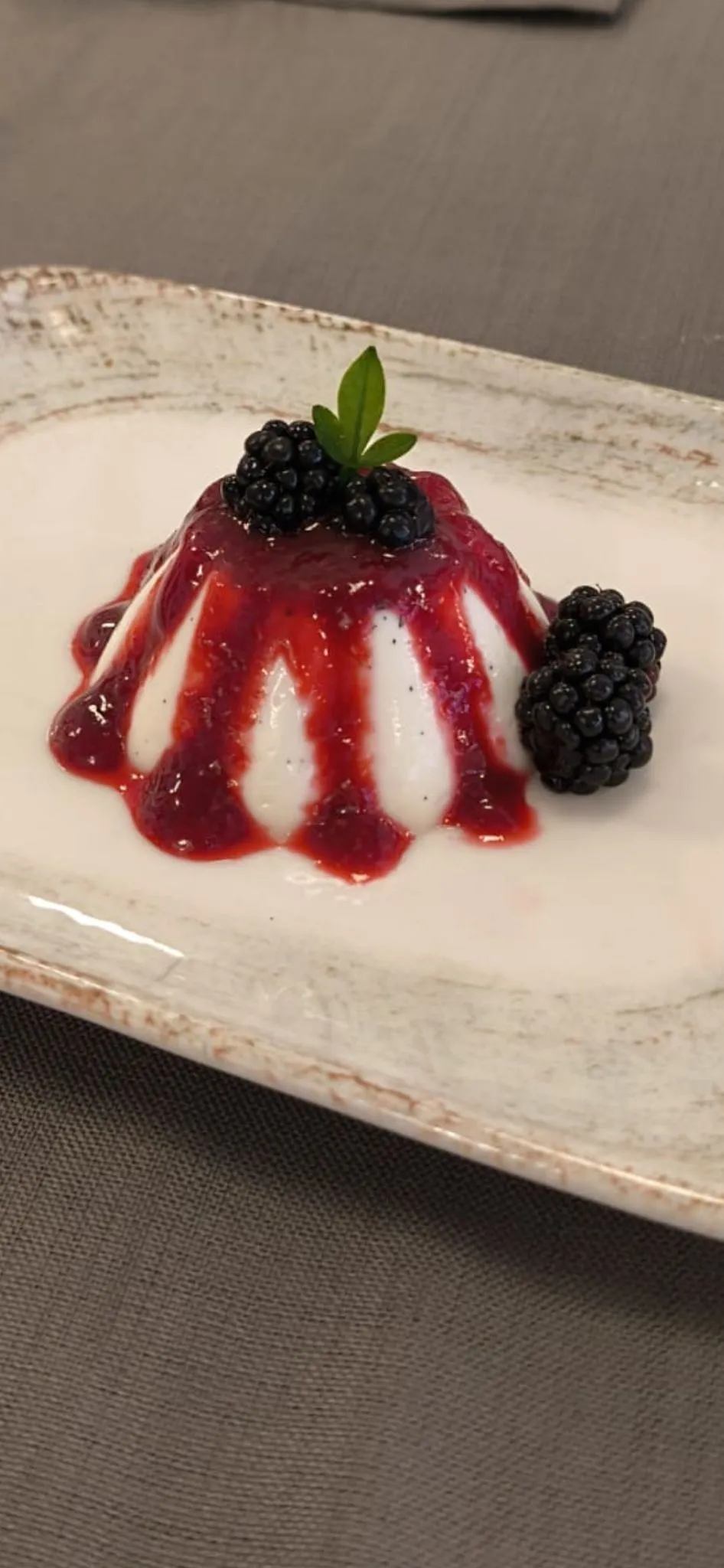 Orman Meyveli Panna Cotta